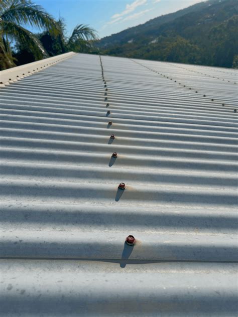 metal roof screw replacement cost